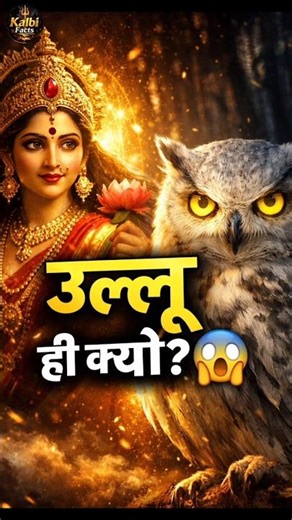 Why owls? The truth will shock you! 😱 #kalbifacts