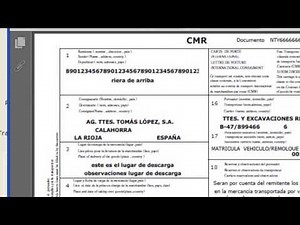 software transportes - formulario cmr internacional