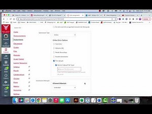 How To Select Canvas Submission Types