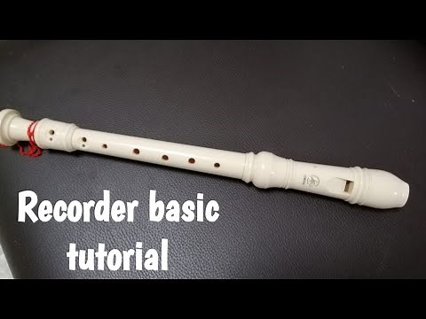 Recorder basic tutorial with Mary had a Little lamb rhymes/ How to play recorder with notes