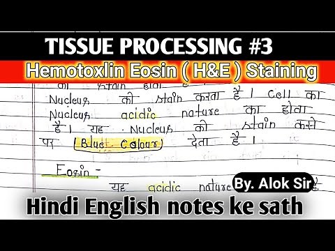 Hemotoxlin and Eosin staining | h and E staining procedure| Tissue processing | h and e staining