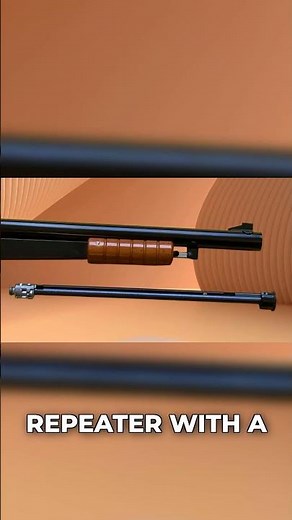 Daisy Model 25: Pump-Action BB Gun Repeater!