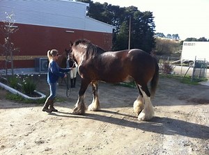 3. Plan for and Implement Effective Teaching and Learning