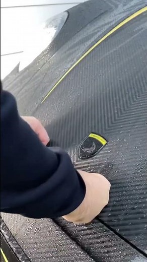 Porsche 992 Stinger GTR Limited Carbon Edition | Startup & Rev! 🔥