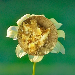 Perfect clean for you #01 part 7 | Healthcare Life