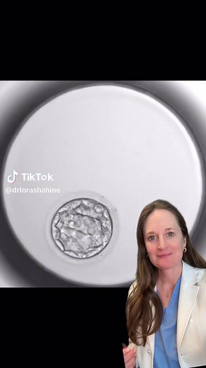 Understanding Embryo Hatching: Process and Significance