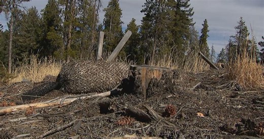 Colorado's Summit County plans for evacuations, sharing of resources ahead of expected wildfires