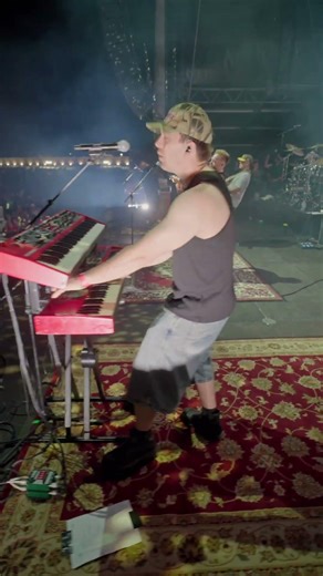 Homegrown 2026 #nz #hamilton