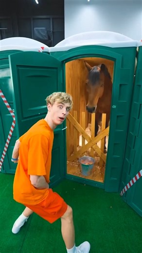 Survival Skills: SIMPLE and USEFUL #bushcraft #camping #outdoors