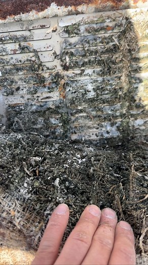 Swapping out some swamp cooler pads on a roof today. AMAZING difference, but these pads were NASTY. 🤮 #hvac #hvaclife #airconditioning #hvactechnician #hvacservice #hvactech #heating #plumbing #hvacr #hvacinstall #hvacrepair #cooling #ac #heatingandcooling #construction #hvactools #airconditioner #hvaclove #hvaccontractor #tiktok #viralvideos #electrical #plumber #contractor #qualityhvac #maintenance #hvacmaintenance #acrepair #hvactips #tradesman | The DIY HVAC Guy