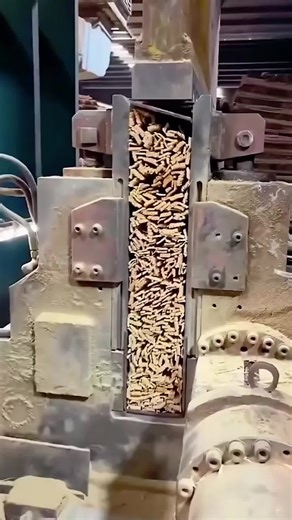 Recognizing Wolves in Sheep's Clothing Behavior