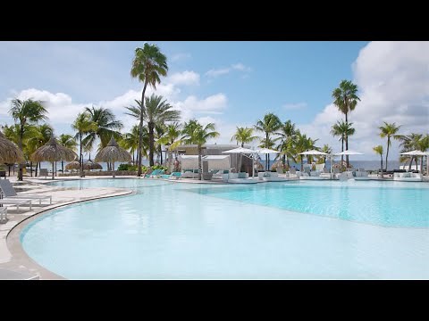 Plaza Beach & Dive Resort Bonaire - All-Inclusive Oceanfront Holidays in the Southern Caribbean