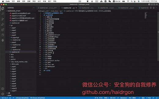 黑客编程之go视频教程