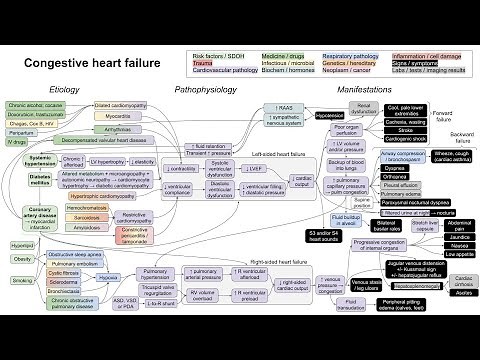 Congestive heart failure (mechanism of disease)