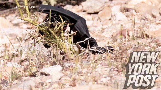 Investigators chase clues in Nancy Guthrie case, including potential DNA Part 2 | ABC World News Tonight with David Muir
