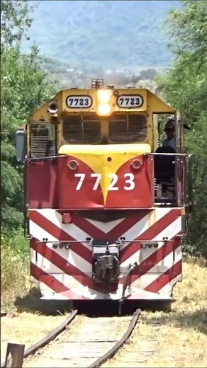 Trenes Argentinos Cargas