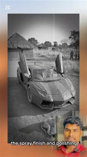 From Tree Leaves to a Lamborghini: The Most Amazing Talent You’ll See Today!