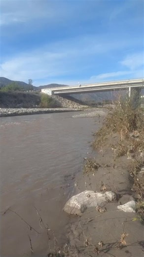 Prepper Tribe (@michaelmarquez827)’s videos with Zorba the Greek - John Murphy & David Hughes