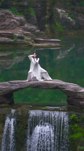 #中国功夫 #kungfu #chineseclassicaldance #中国 #martialarts #chinesedancer #dance #太极 #功夫 #shortvideo