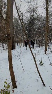 4.5K views · 74 reactions | And here's the 2-Hour runners heading off for their race! Thank you to @ultraboundcoaching for volunteering and helping us with video! | St. Louis Track Club | Facebook