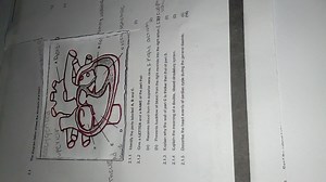 The diagram below shows the structure of a heart.2.1.1 Identi... | Filo