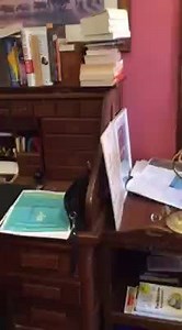 4.5K views · 43 reactions | The study of historian Henry Reynolds. Great conversation with him this afternoon at 2pm. | ABC Sydney | Facebook