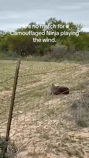 168K views · 10K reactions | When you been chasing tail all night (Via @txbowhunting/TikTok) | Back Roads Apparel | Facebook