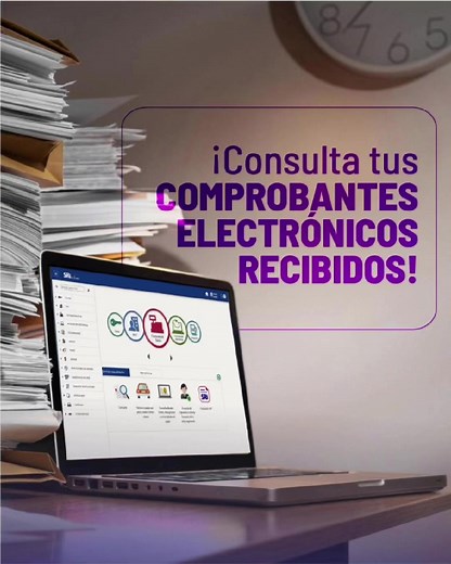 Consulta de Comprobantes Electrónicos en SRI Ecuador