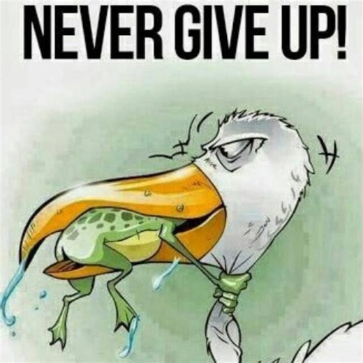 Froggie Memes on Reels