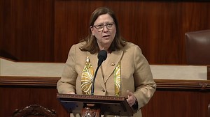 'A Display Of The Grift And The Greed': Julie Johnson Lambasts Trump's Tariffs And 'President' Elon