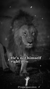 16K reactions · 468 comments | #motivationalquotes #motivationalspeaker #Motivationalspeech#inspirationalquotes #inspirationalspeech #inspirationalvideo #dicipline#pain #toughman #relationship #motivationalvideo | Propelpassion | Facebook