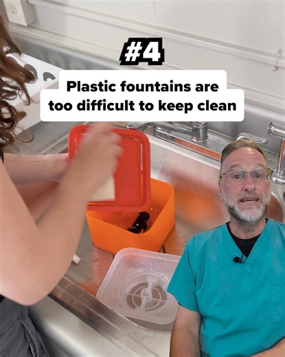 1.6M views · 139 reactions | Last chance for our Meowlloween sale! Get up to 50% OFF + a free $10 gift on this value packed last call offer!  (Limited stock available) | KittySpout | Facebook