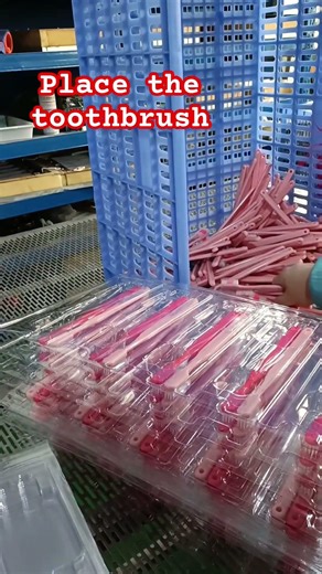 Carefully arranging and inspecting each toothbrush to ensure quality, reliable daily oral care.