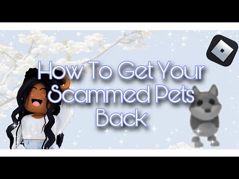 How To Get Your Scammed Adopt Me Pets Back!!!