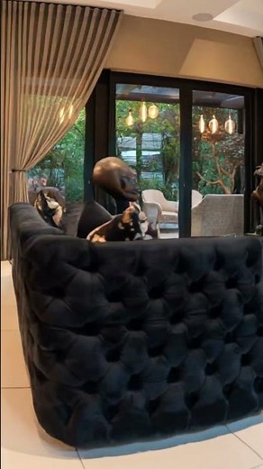 Inside a Living Work of Art in Steyn City, South Africa | Ultra-Luxury Home Tour