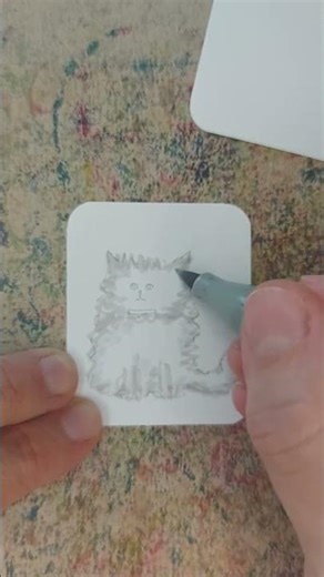 Fluffy Cat Drawing | Easy Step-by-Step #cat