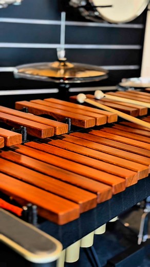 😮Die größte Orchester Percussion und Schlagwerk Instrumente Auswahl weit und breit - wir haben STÄNDIG über 600 Percussion Instrumente lagernd! Angreifen, testen und ausprobieren - bei uns findest du dein Lieblingsinstrument das wirklich zu dir passt! - 🎶 PLUS: Top-Service dank hauseigener Meisterwerkstatt! #musikdanner Linzer City Meinl Percussion Schlagwerk #orchester #percussion #schlagwerk #percussion | Danner Musikinstrumente