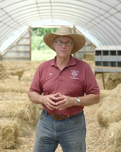 865 reactions · 114 shares | If you’ve ever dreamed about a homestead or about self-reliance, we want to make that dream a reality. For the first time ever, Joel Salatin, award-winning and bestselling author of Folks, This Ain’t Normal and You Can Farm, has condensed over 60 years of his farming knowledge and experience into a video course for you. Don’t wait. Get your course today! | Polyface Farm | Facebook
