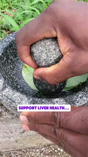 Do You Know This Plant Juice or Poultice? #holistichealth #fyp #NaturalHealing #senna