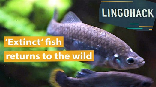 Episode 220504 / 04 May 2022