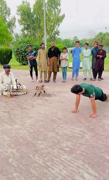 Master the Monkey Flip: Your Guide to Backflips