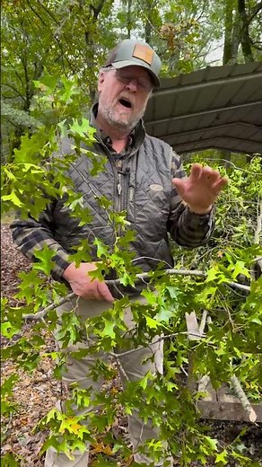 Preparing Duck Blinds in Arkansas Before Season Starts | Waterfowl Hunting Tips with Jim Ronquest