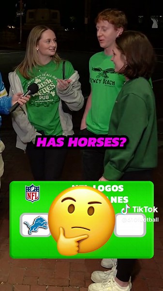 NFL Teams with Maine in Their Logos | Logo Trivia