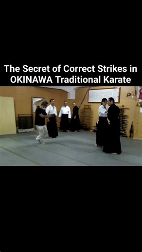 Important ! The Secret of Correct Strikes in OKINAWA Traditional Karate | Karate Techniques