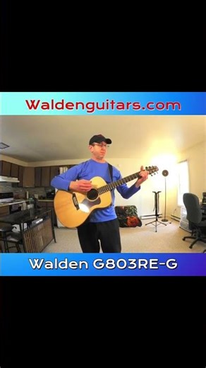 Walden Guitars G803RE-G with Dunlop Ultex 1.0