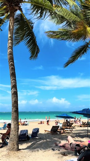 Travel with us to our last spring break!! Cruise tomorrow 🛳️ @Lily Nelson