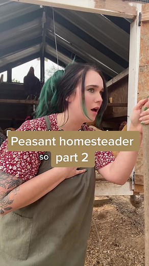 Peasant Homesteader Part 2: Embracing the Simple Life in the Countryside