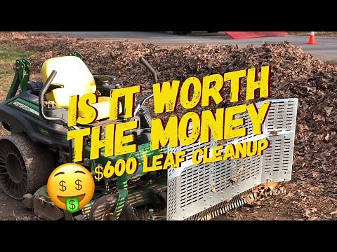 How We Do A Leaf Cleanup Using A Leaf Plow