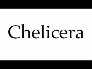How to Pronounce Chelicera