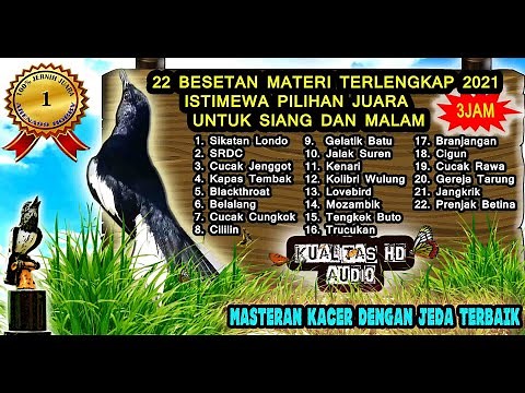 Great and Best Bird Sound Collection for Training Your Birds